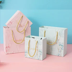 Gift Custom Printed Logo Paper Printed Bag Packaging
