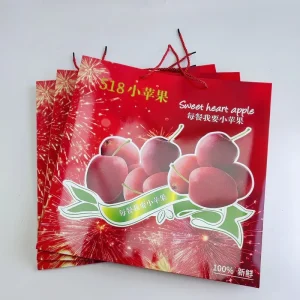 Glossy Laminated White Paper Gift Bag with 3-Ply PP Cord Handle Recyclable 210gsm Thickness for Fruit Packaging