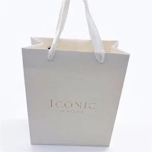 High Quality Paper Bag Packaging Custom Printing Paper Carry Bag with Rope Handle for Shopping Boutique