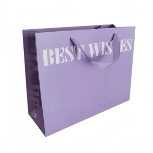 In Stock Custom Printed Logo Luxury Large Capacity for Clothes Gift Packaging China Shopping Paper Bag with Handles