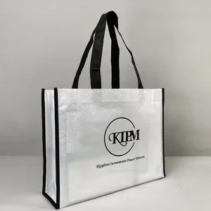 Large Laminated Reusable Shopping Bags With Logos PP and PE Laminated Non Woven Bag