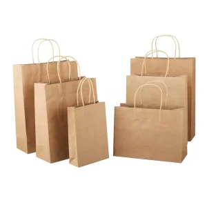 Low Cost Retail OEM Custom Printing Household Shopping Paper Bag