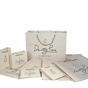 Luxury Custom Own Logo Printed Retail Clothing Packaging Paper Bag Shopping Packaging Paper Bag for Apparel