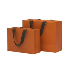 Luxury Custom Own Logo Printed Retail Clothing Packaging Paper Bag Shopping Packaging Paper Bag for Apparel