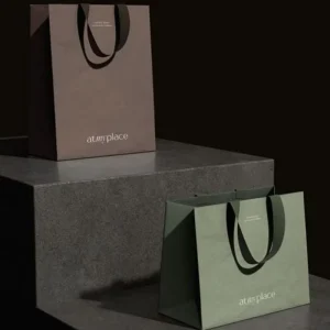 Luxury Custom Own Logo Printed Retail Clothing Packaging Paper Bag Shopping Packaging Paper Bag for Apparel