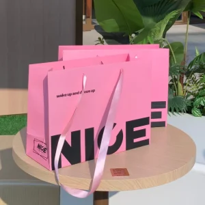 Luxury Pink Women’s Shopping Tote Bag Customizable Kraft Cardboard Paper Gift Bag with Logo for Clothing Store Use