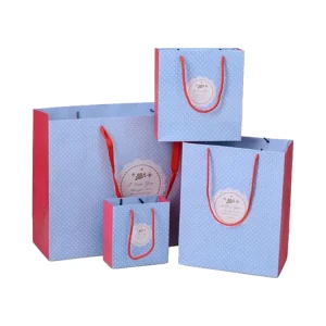OEM Custom Logo Size Waterproof Foldable Paper Carry Bag with Film Handles Shopping Gift Packaging for Supermarket
