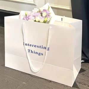 OEM Factory Direct Sales Customized With Your Own Logo Large Horizontal Luxury Shopping Paper Bag for Clothing Store