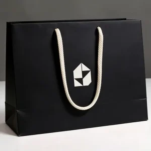 Paper Bag for Business Clothes Shoes Gift Promotion Ribbon Andles with Embossing Hot Stamping Logo Boutique Thick Paperbag