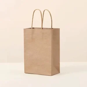Paper Packaging Bag Customized Own Logo Small Business Color Printed Paper Bag