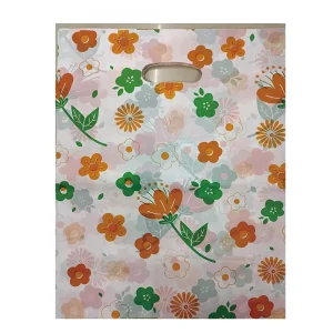 Plastic Style Packaging Bag Printing Customized Supermarket Bag