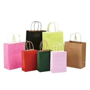 Premium Quality Customizable Printed Designs Retail Packing Handle Paper Bags for Gift Clothes Shopping Art Paper for Promotion