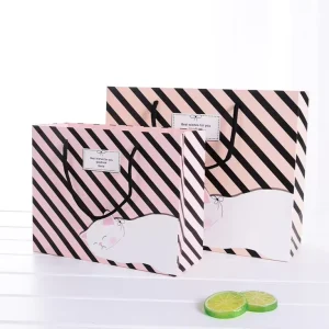 Printed Dress Clothes Cartoon Shopping Paper Bag Recyclable Retail Clothing Brand Logo Custom Shopping Packaging Bags