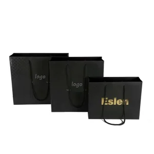 Printed Paper Gift Bags for Retail Packaging