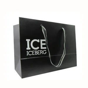 Producer Recyclable Design Welcome Cardboard Paper Packing Bags Printed Strong Paper Packing Bag