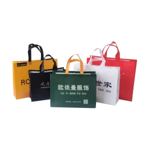 Shoe Storage Non Woven Bags with Custom Printing Travel Shoe Bags for Retail Packaging and Promotion