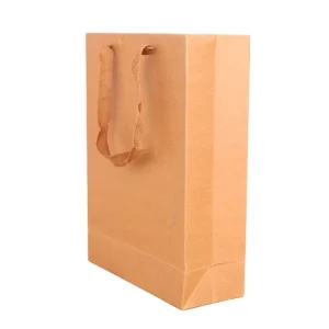 Shopping Gift Paper Bag Custom Logo for Clothing Custom Packaging Bag