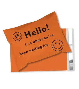 Tear Proof Custom Logo Printed Plastic Poly Mailer Bags for Shipping Clothing