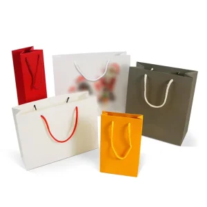 Waterproof Packing Logo Printed Small Packaging Plastic Shopping Resealable Kraft Custom Paper Bag