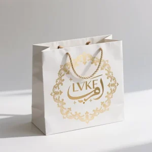 White Cardboard Shopping Bag With Handle for Clothes Dress Shoes Coat Silk Packaging Paper Bag