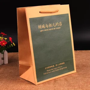 定制标志印刷纸质包装袋，用于书籍环保棕色牛皮纸袋
