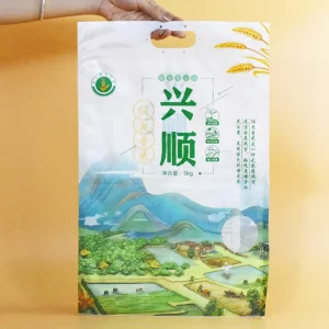 定制印刷数码印刷热封食品包装袋哑光饰面平袋带手柄聚酯薄膜袋